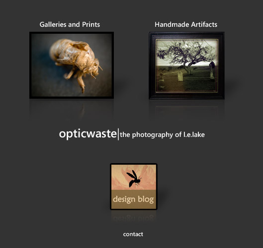 opticwaste - the photography of l.e.lake